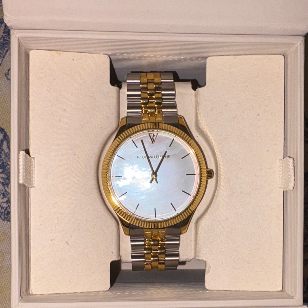 Paul Valentine iconia watch